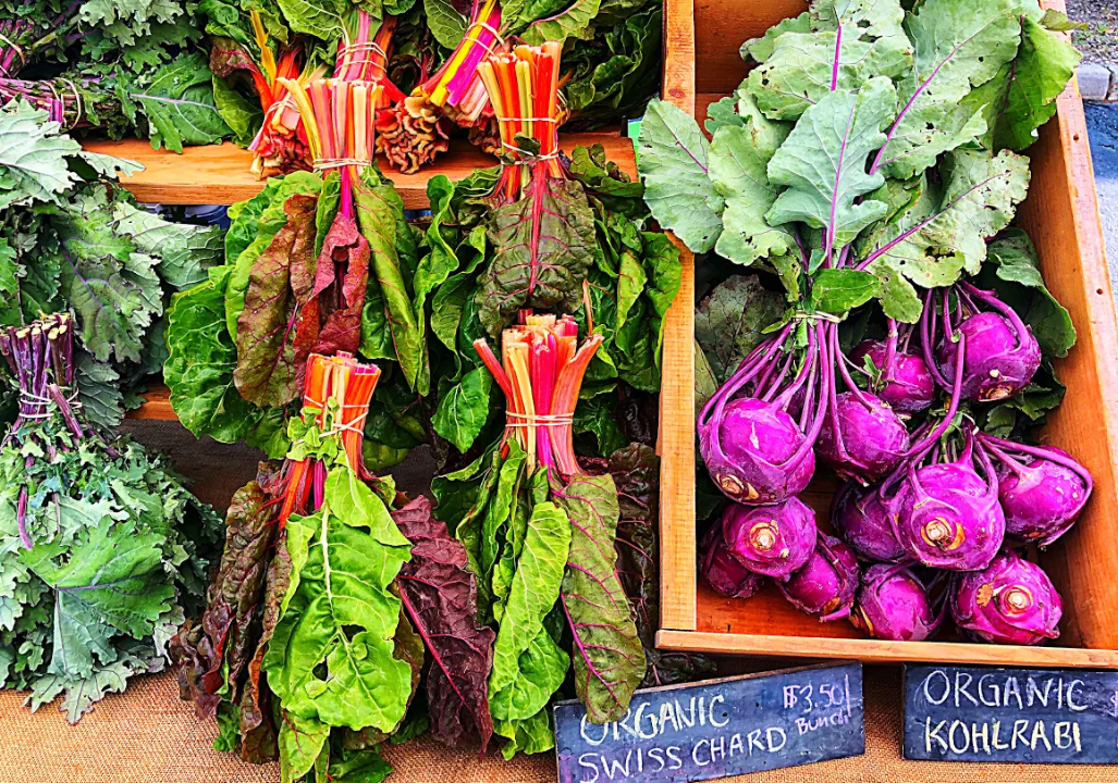 farmer's markets in toronto