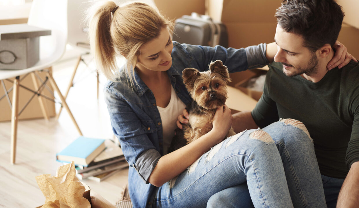 renting with pets