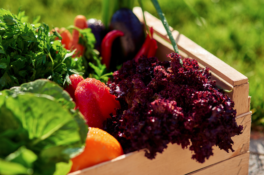 Organic Groceries Next To 59 Ridout